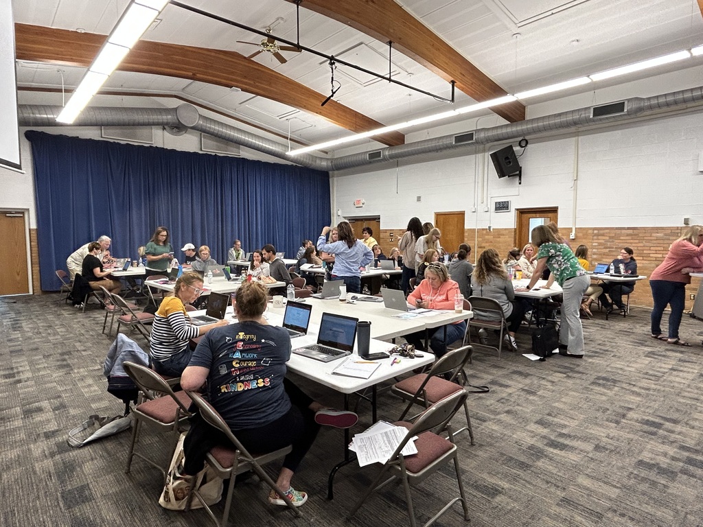 Professional Development 1
